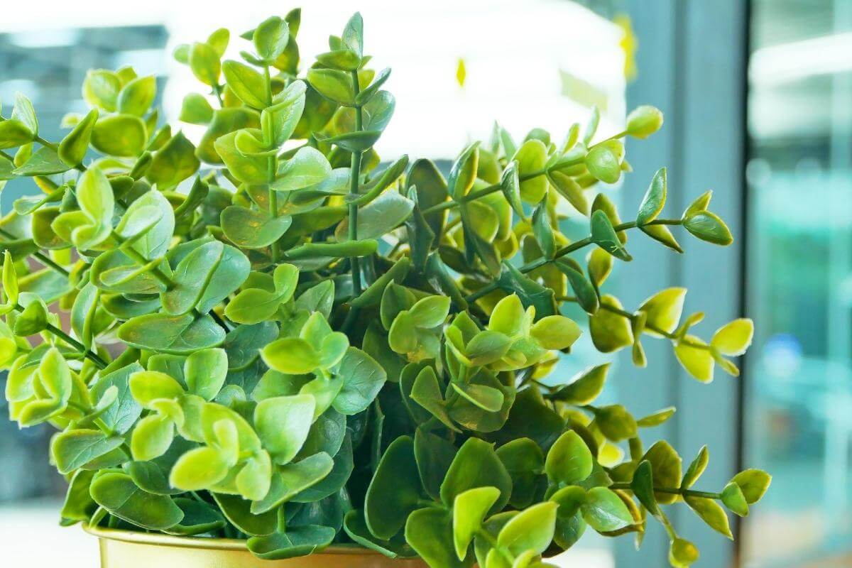 How to Secure Artificial Plants in Pots