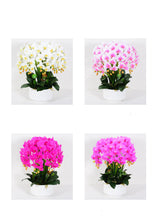 Load image into Gallery viewer, A selection of four artificial orchid arrangements in white planters, featuring vibrant orchid colors like white, pink, and fuchsia. What are the best colors for artificial orchids to match different interior decor styles?