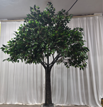 Charger l'image dans la galerie, Realistic artificial green tree against a white draped backdrop, ideal for creating a nature-inspired ambiance at weddings and events. How easy is it to set up this artificial tree for indoor events?