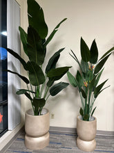 Charger l'image dans la galerie, Pair of tall golden stackable planters with a smooth matte finish, each holding artificial plants with large green leaves, placed indoors near a window with natural light. Are these planters made from lightweight materials for easy mobility?"