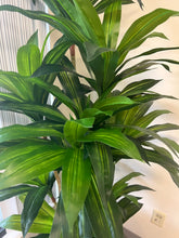 Load image into Gallery viewer, Artificial Yucca plant - 6'