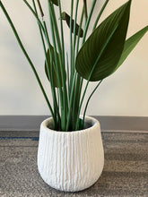 Charger l'image dans la galerie, Large white textured planter with a modern ribbed design, placed indoors near a window with natural light. What are the dimensions of this planter?