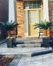 Charger l'image dans la galerie, Pair of artificial palm trees in stylish black planters, enhancing the entrance of a modern home with a welcoming tropical aesthetic.