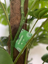 Charger l'image dans la galerie, Close-up of a tag attached to an artificial Monstera plant's stem. What are the benefits of artificial plants for indoor spaces?