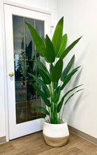 Load image into Gallery viewer, A realistic artificial bird of paradise plant placed in a two-toned woven basket planter with white and beige hues. The plant is set against a white wall beside a glass-paneled door, reflecting the plant's green leaves. The vibrant greenery adds a refreshing touch to the modern, minimalist indoor setting with wooden flooring.
