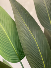 Load image into Gallery viewer, A close-up view of the artificial bird of paradise plant leaves, showing their detailed veining and natural green gradient. The leaves exhibit a realistic texture, with a slightly darker green shade on the edges, highlighting the quality and craftsmanship of the artificial plant. The soft lighting accentuates the lifelike appearance of the leaves
