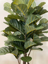 Charger l'image dans la galerie, Artificial Fiddle Tree - 6'