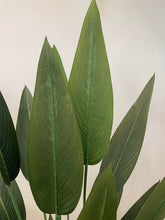 Load image into Gallery viewer, A close-up view of the artificial bird of paradise plant leaves, showcasing their elongated, slender shape and subtle veining. The leaves have a natural green color gradient, adding to the realistic appearance of the plant. The stems are visible, enhancing the overall lifelike texture and quality of the artificial plant