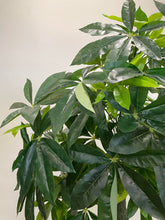 Charger l'image dans la galerie, Alt text: "Detailed view of artificial money tree leaves against a textured trunk, highlighting the vibrant green foliage and lifelike appearance, ideal for indoor decor."