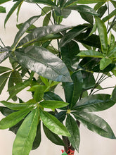 Charger l'image dans la galerie, Alt text: "Detailed view of artificial money tree leaves against a textured trunk, highlighting the vibrant green foliage and lifelike appearance, ideal for indoor decor."