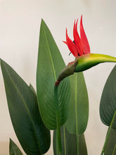 Load image into Gallery viewer, Artificial Bird of Paradise - 7ft
