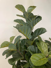 Charger l'image dans la galerie, Artificial Fiddle Tree - 5'