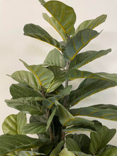 Charger l'image dans la galerie, Artificial Fiddle Tree - 5'