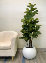 Charger l'image dans la galerie, Artificial Fiddle Tree - 5'