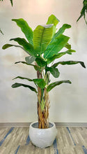 Load image into Gallery viewer, Tall artificial banana plant with broad, realistic green leaves, standing in a white ceramic planter, placed in a bright indoor setting with neutral-colored walls and carpeted flooring