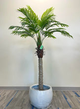 Charger l'image dans la galerie, A realistic artificial palm tree placed in a white round planter, perfect for indoor spaces such as living rooms or offices, offering a tropical vibe.