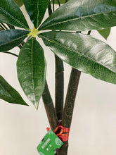 Charger l'image dans la galerie, Detailed view of artificial money tree leaves against a textured trunk, highlighting the vibrant green foliage and lifelike appearance, ideal for indoor decor