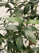 Load image into Gallery viewer, Artificial Olive Tree - 5'