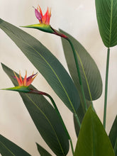 Load image into Gallery viewer, Close-up of a vibrant red artificial bird of paradise flower with green leaves in the background. The lifelike design of the flower and foliage adds a touch of exotic beauty, making it a striking element of indoor decor