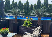 Charger l'image dans la galerie, Artificial palm trees in sleek black planters, creating a tropical vibe for poolside patios and outdoor lounging areas.