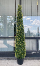 Charger l'image dans la galerie, A tall, artificial topiary shaped like a cone stands in a black pot outside a building with large glass windows. The topiary is covered in small, tightly packed green leaves. The reflection of trees and a cloudy sky is visible in the glass behind it.