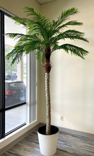 Load image into Gallery viewer,  A large artificial palm tree in a stylish office corner by the window, adding a natural touch to a professional setting.