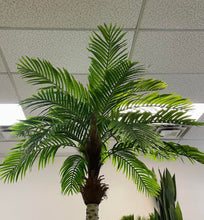 Load image into Gallery viewer, Artificial tropical palm tree with lush green fronds, placed indoors under a drop ceiling, ideal for adding a natural ambiance to commercial or office spaces.