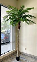 Load image into Gallery viewer,  A large artificial palm tree in a stylish office corner by the window, adding a natural touch to a professional setting.