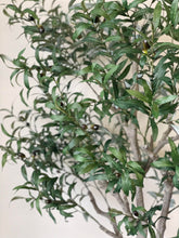 Charger l'image dans la galerie, Close-up view of the artificial olive tree's leaves and small dark olives, showing the detailed texture and realistic design of the foliage against a neutral background.