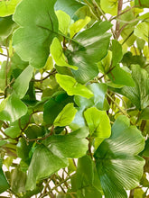 Load image into Gallery viewer, Close-up of artificial ginkgo leaves showcasing the detailed texture and varying shades of green, resembling natural foliage