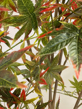 Load image into Gallery viewer, Close-up view of artificial Japanese maple tree leaves featuring a mix of dark green and vibrant red colors, showing detailed leaf veins and textures.