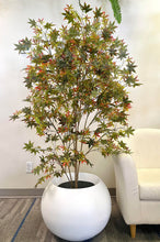 Load image into Gallery viewer, Artificial Japanese maple tree with green and red leaves in a textured white planter, placed near a large window in a bright indoor space