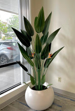 Load image into Gallery viewer, A stylish indoor space featuring a large artificial bird of paradise plant with tall green leaves and vibrant orange and yellow flowers. The plant is placed in a modern, round white planter next to a large window, allowing natural light to highlight its lush foliage. The window offers a view of parked cars outside, creating a serene and contemporary atmosphere within the room.
