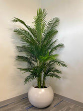Charger l'image dans la galerie, An artificial palm tree in a rounded white planter, placed in a corner. The lush green leaves cast soft shadows on the light-colored walls, adding a vibrant, natural touch to the clean, minimalist space. The setup gives an elegant, refreshing feel to the room.