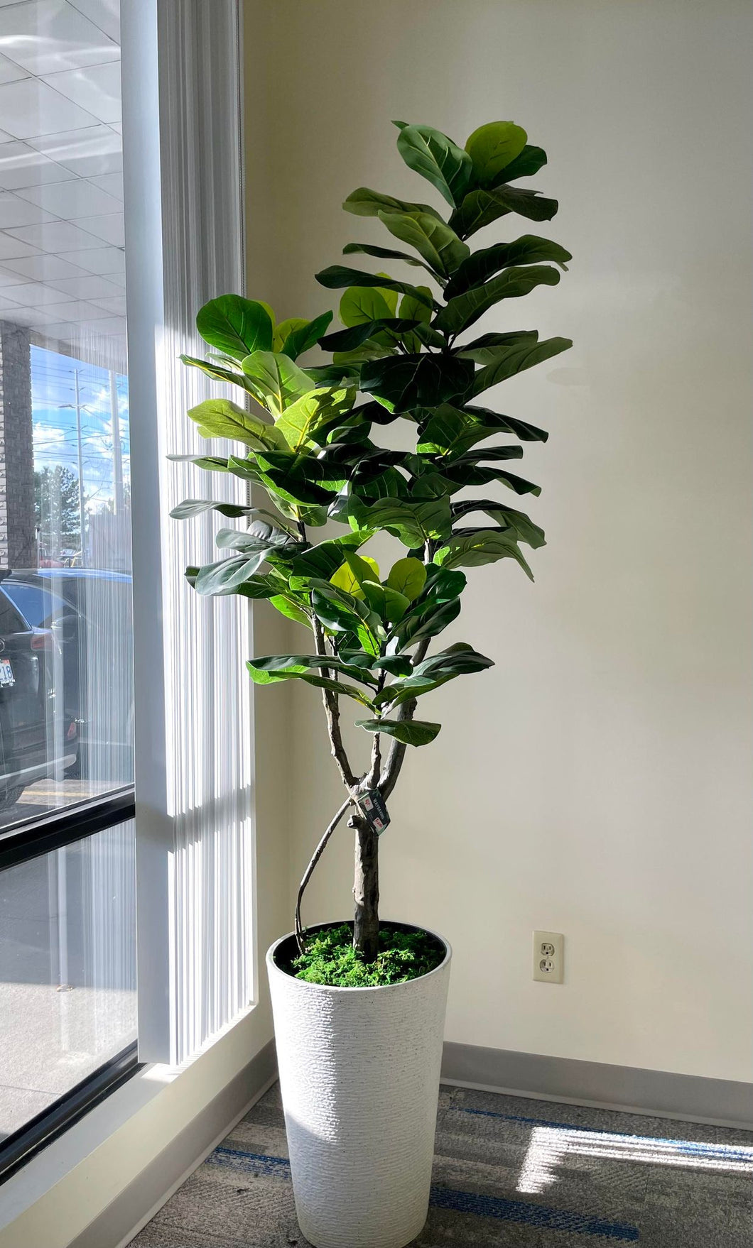 Artificial Fiddle Fig Tree (6')