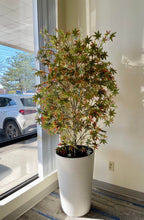 Load image into Gallery viewer, Artificial Japanese maple tree with green and red leaves in a textured white planter, placed near a large window in a bright indoor space
