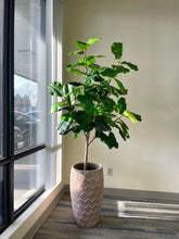 Load image into Gallery viewer, Artificial Fiddle Tree - 6'