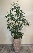 Charger l'image dans la galerie, Large Dracaena plant with sleek dark green leaves placed in a contemporary pink planter, adding an elegant and natural element to the modern indoor space.