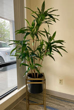 Charger l'image dans la galerie, Elegant artificial green Dracaena plant in a black metal planter with a gold stand, placed by a large window, offering a sophisticated and modern touch to any indoor setting