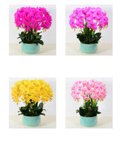 Load image into Gallery viewer, A variety of artificial orchid flower arrangements in vibrant colors including pink, yellow, and light pink, displayed in pastel green pots. How do I select the right color of artificial orchids for different rooms in my home?