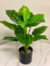 Charger l'image dans la galerie, A potted artificial plant with glossy green leaves, featuring a natural appearance, set on a white marble surface.