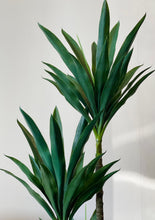 Charger l'image dans la galerie, Close-up of a tall artificial green Dracaena plant with long, pointed leaves arranged in a rosette, placed against a plain light-colored background