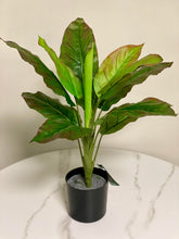 Charger l'image dans la galerie, A potted artificial plant with tall, elongated green leaves that have a reddish tint along the edges, arranged neatly in a black pot on a marble surface.