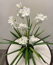 Charger l'image dans la galerie, A white orchid arrangement with delicate, soft petals in bloom, placed in a black pot with long, slender green leaves extending outward.