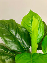 Charger l'image dans la galerie, Close-up of glossy, artificial plant leaves in shades of green, with realistic texture and veins for a lifelike appearance.