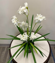 Charger l'image dans la galerie, A white orchid arrangement with delicate, soft petals in bloom, placed in a black pot with long, slender green leaves extending outward.