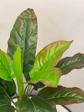 Charger l'image dans la galerie, Close-up of large green leaves with reddish edges, showing intricate veins and texture, from an artificial plant. The leaves are layered, giving a lifelike appearance.