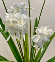 Charger l'image dans la galerie, Close-up of white orchid flowers, showcasing their delicate fabric petals with soft green stems and leaves in the background.