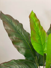 Charger l'image dans la galerie, Close-up of large green leaves with reddish edges, showing intricate veins and texture, from an artificial plant. The leaves are layered, giving a lifelike appearance.