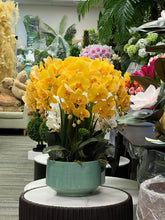 Load image into Gallery viewer, A bright arrangement of artificial yellow orchids with lifelike petals and stems in a glossy turquoise pot. What are the best ways to clean artificial plants without damaging them?